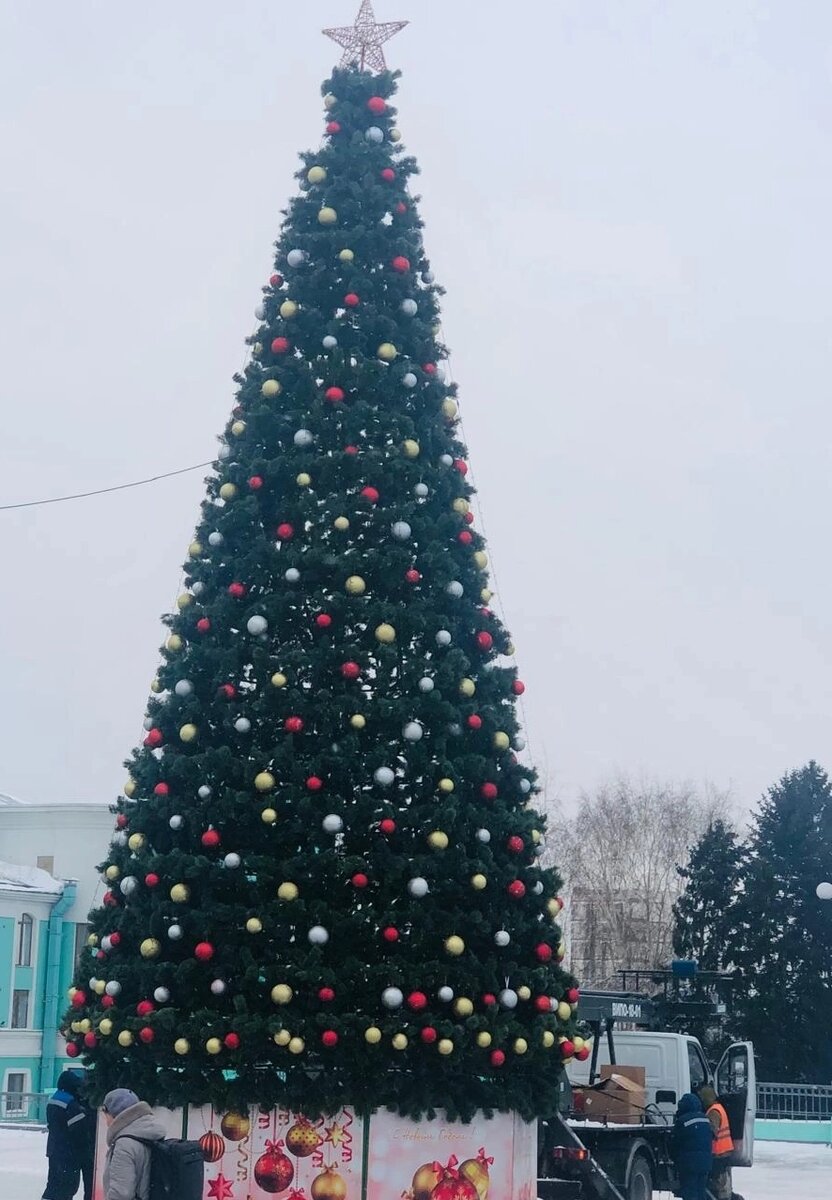    Фото: Мэрия Новосибирска/ Пресс-служба