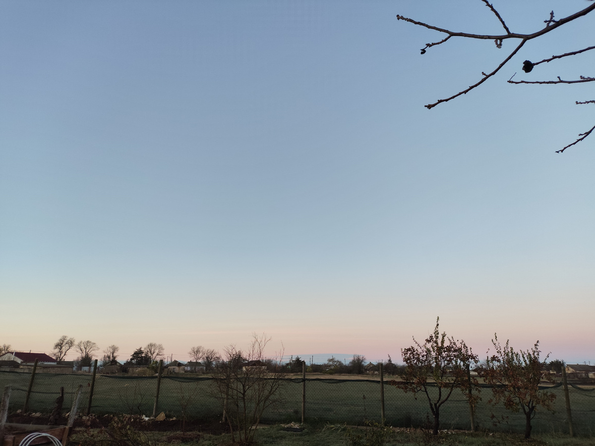 Утро в розовых тонах....