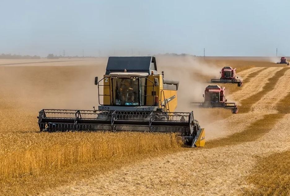 Уборка зерновых (иллюстрация из открытых источников)
