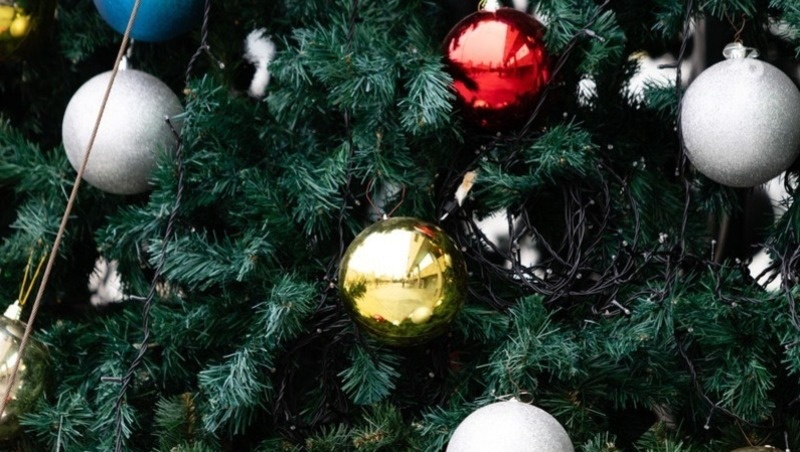      Фото: ИА «Победа26»