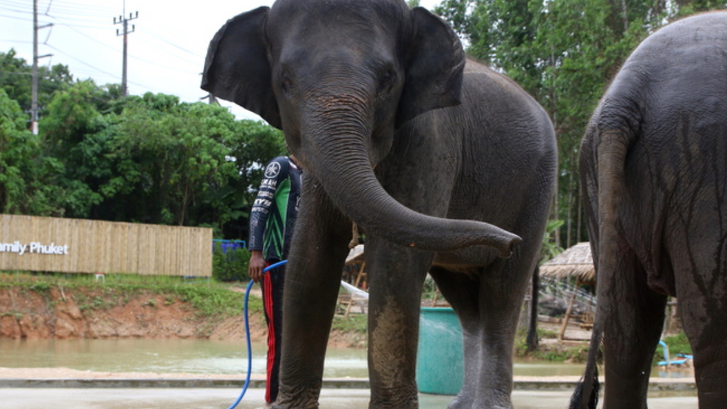    Фото: Maksim Konstantinov/Globallookpress