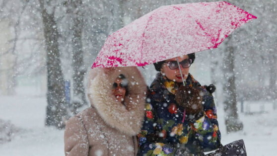    Центральные области России ожидает снегопад: гидрометцентр прогнозирует до 15 мм осадков Андрей Бурков