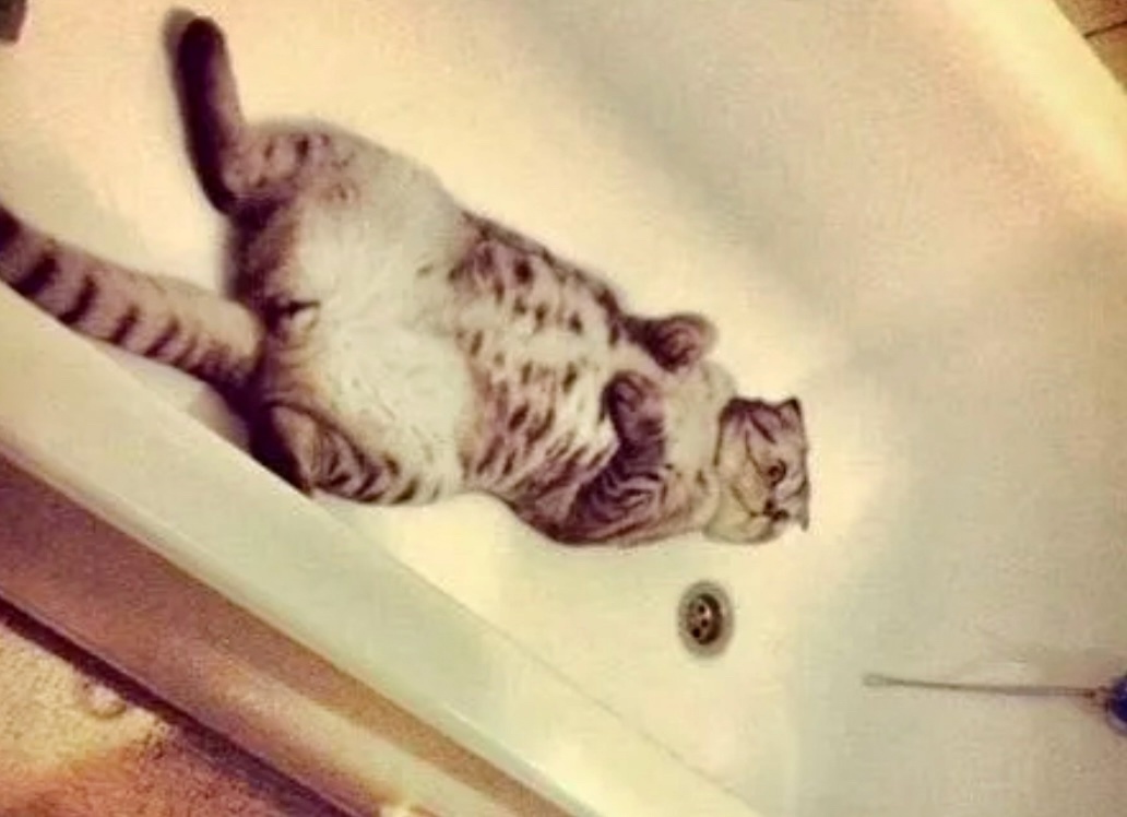 Закройте двери с той стороны! Не видите, у меня воздушные ванны принимаются!