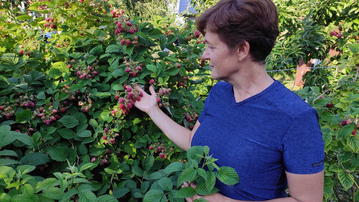 Я рядом с малиной Гусар  