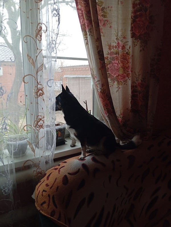 Фото автора. 