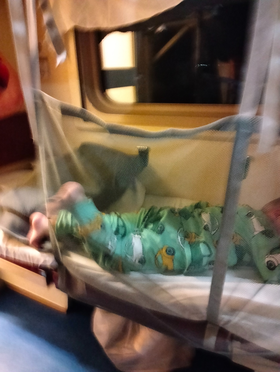 Спасибище огромнейшее! Без него мне бы однозначно пришлось ложиться вместе с ребёнком, потому что он сильно вертится во сне, и смысл покупки отдельного билета для трёхлетки попросту бы пропал. А так он отлично выспался вдоль и поперёк полки, и я неплохо поспала наверху.