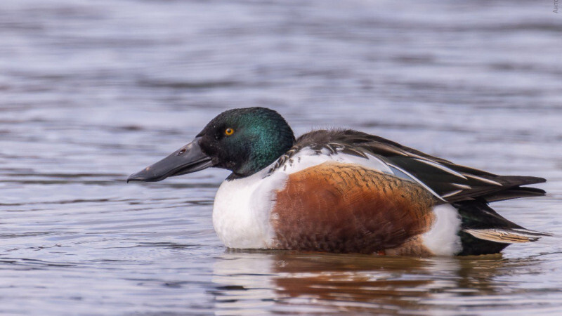    t.me/kazdoytvaripopare