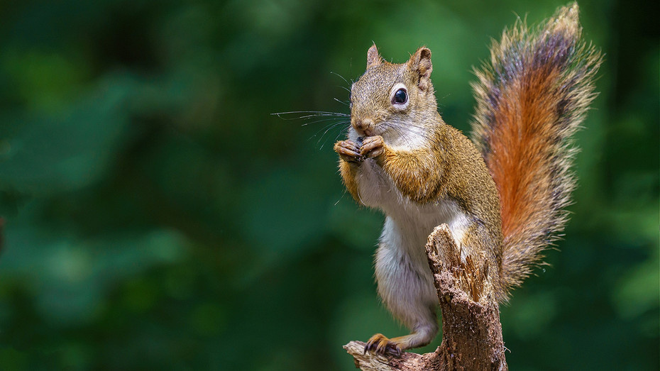     Источник фото здесь и далее: freepik.com (@wirestock)