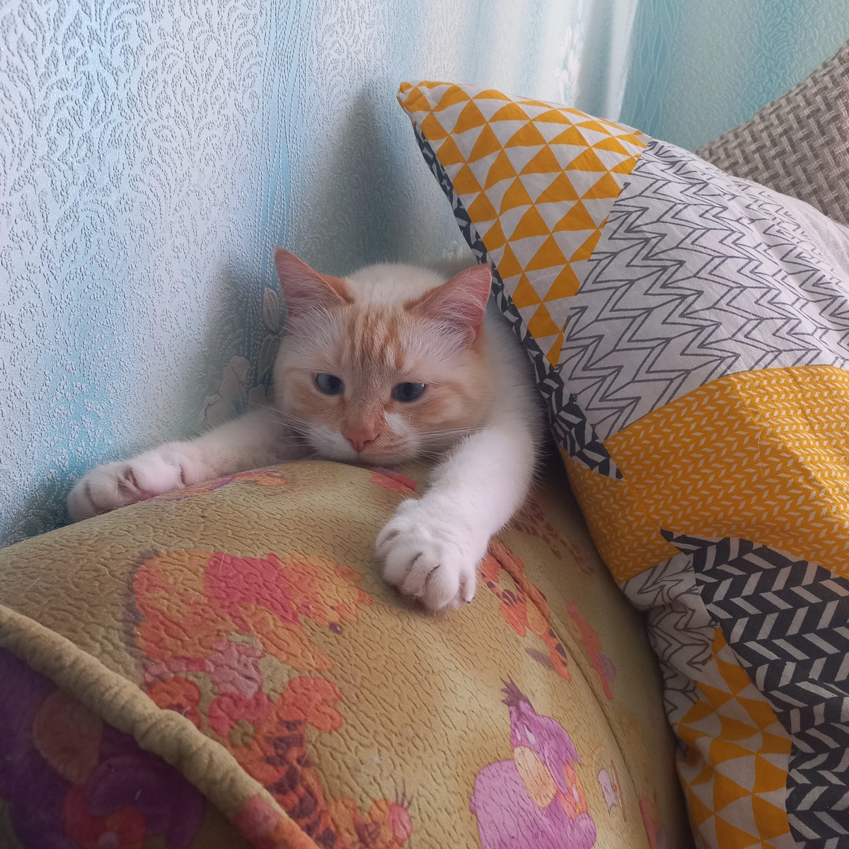 Наташа, я устал...