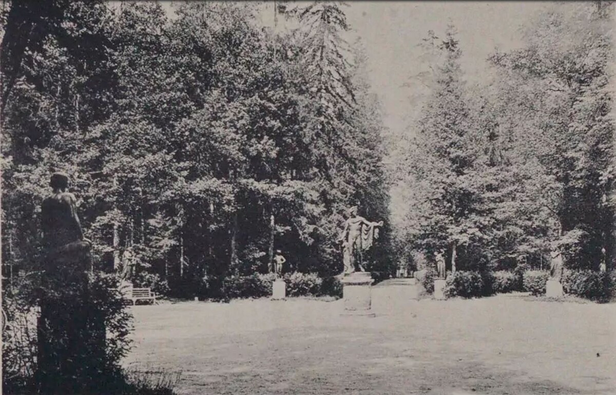 "Старая Сильвия", площадка Двенадцати дорожек 1895 – 1896, Санкт-Петербург, Павловск, Павловский парк, Старая Сильвия Источник:https://dlib.rsl.ru/viewer/01007895685#?page=89