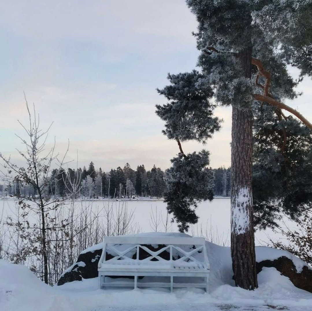 Парк Монрепо Выборг. Фото из открытых источников интернет