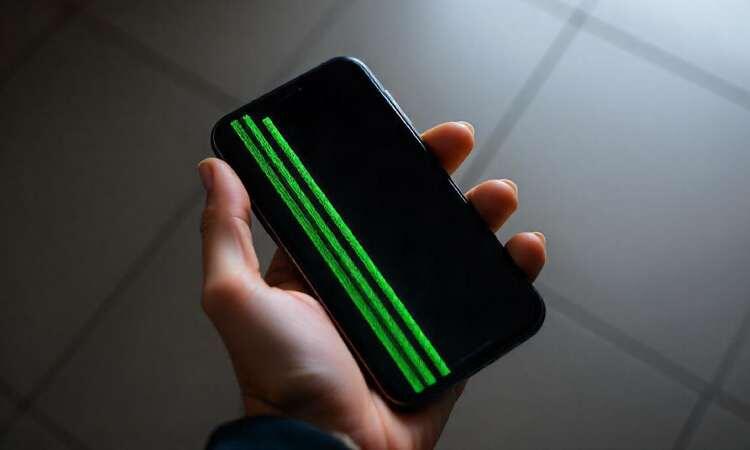    Источник: freepik