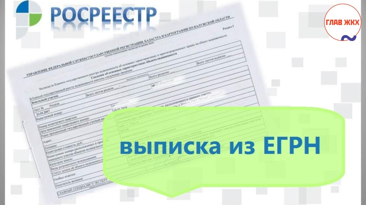 С 2025 года выписки из ЕГРН станут значительно дороже