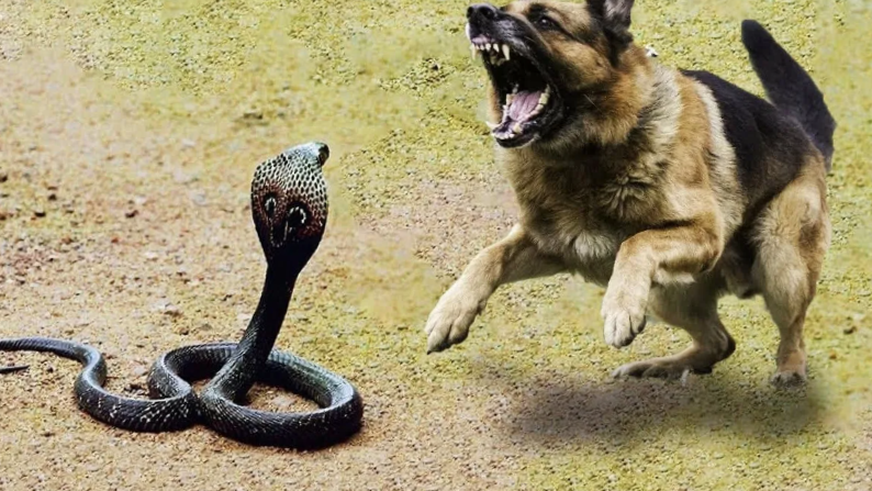 Сегодня после занятий в 5 часов!