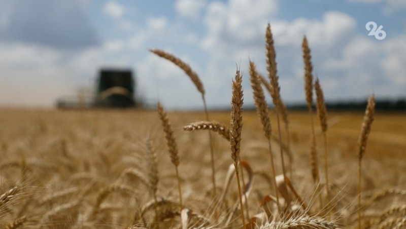      Фото: ИА «Победа26»