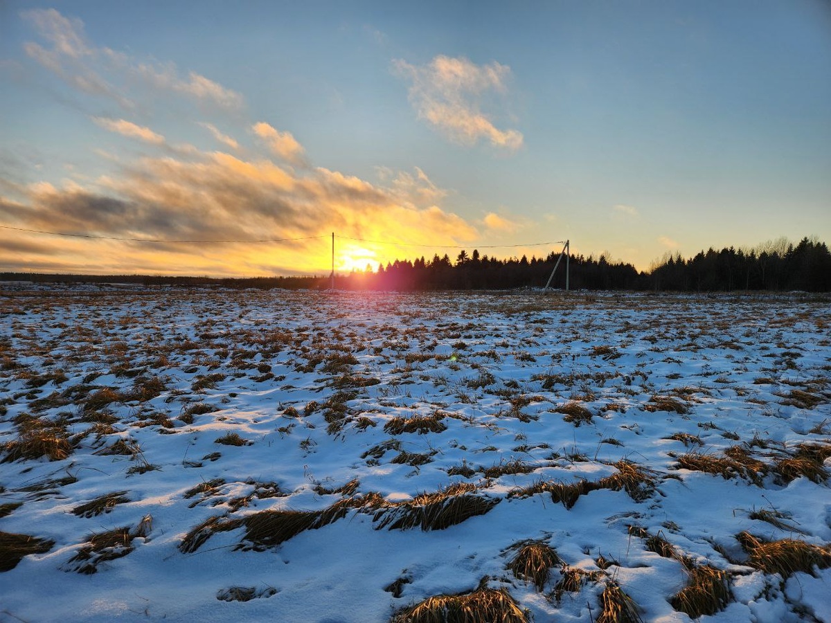 Поле за домом. Лес 350 м.