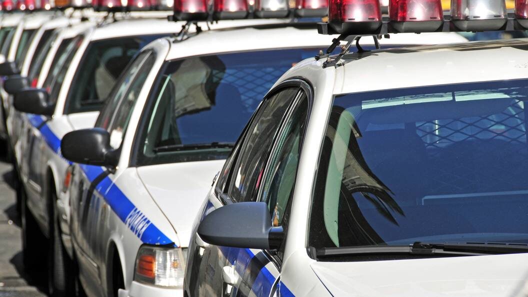    W. G. Allgoewer/blickwinkel/Globallookpress