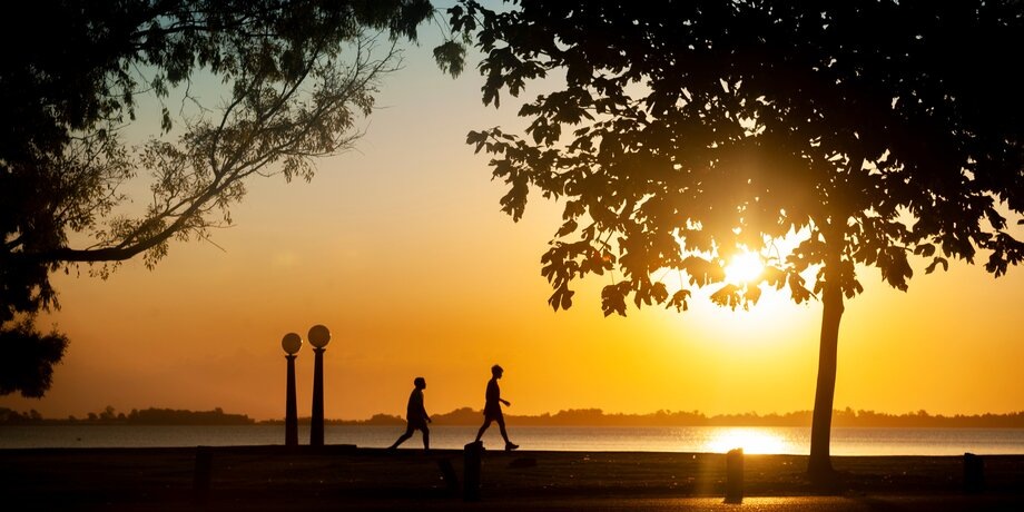 Фото: 123RF/alepiorun