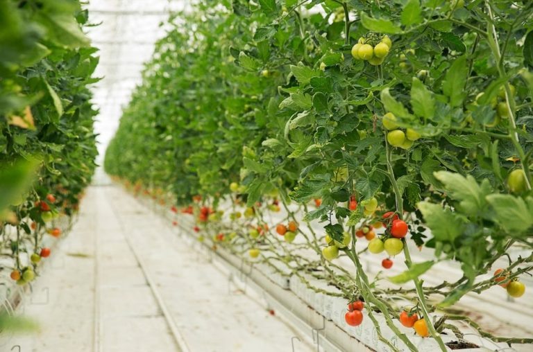    Фото: freepik.com/ wirestock Анастасия Давыдова