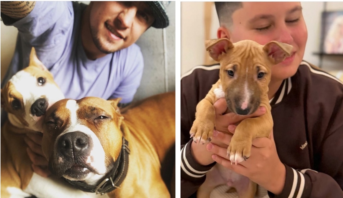 В новой семье Павла Прилучного пополнение - щенок. Фото: социальные сети.