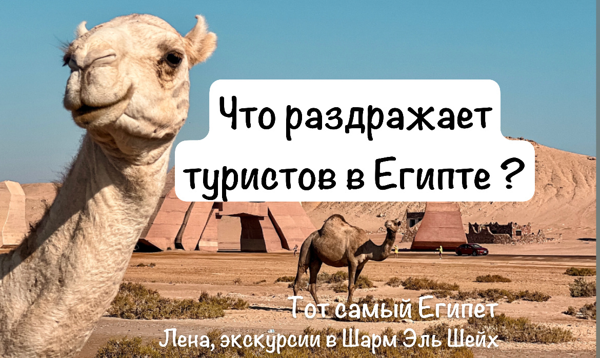 Экскурсии в Шарм Эль Шейх. Номер телеграмм +201024236561