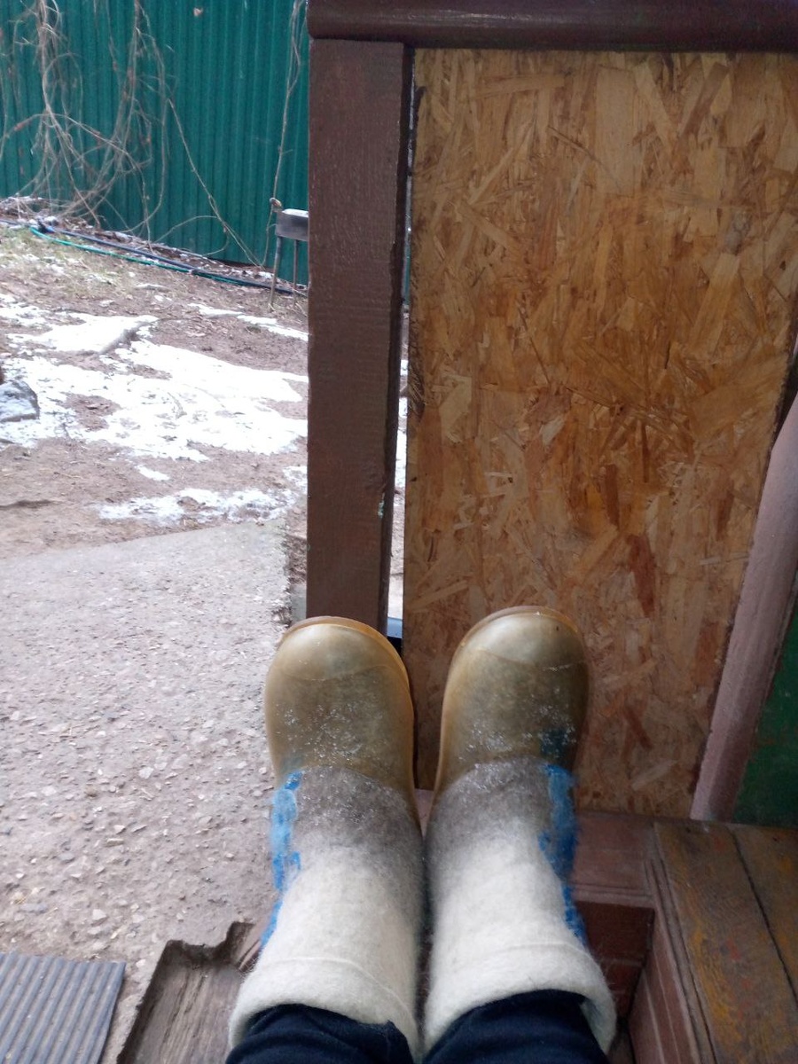 Мои бархатные тяги