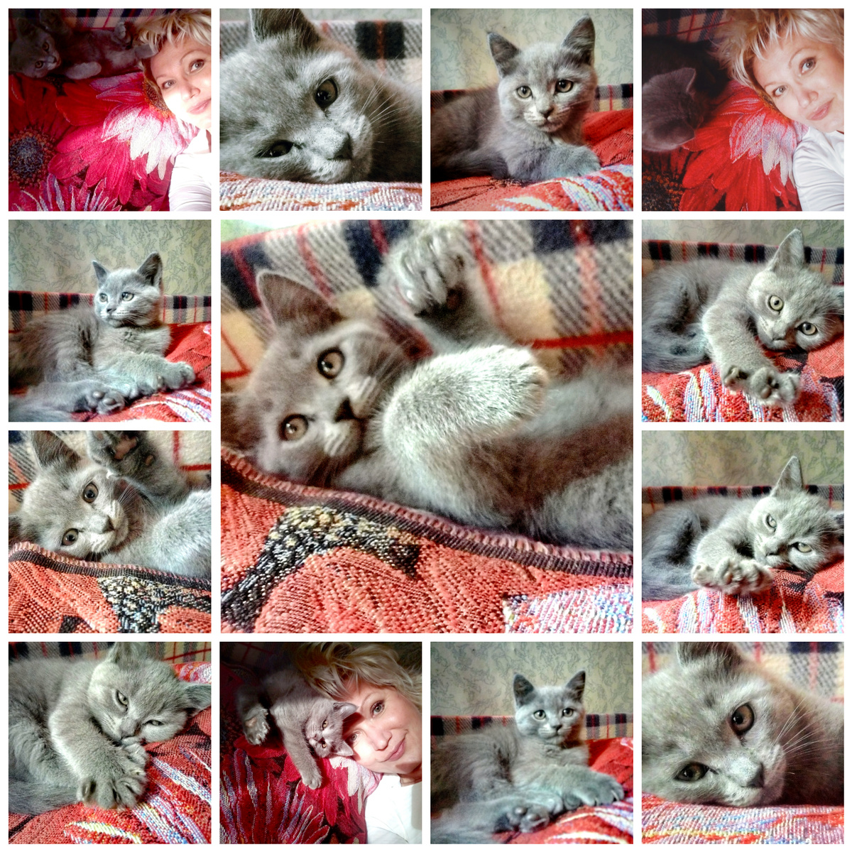 Шане пять месяцев. Фото автора