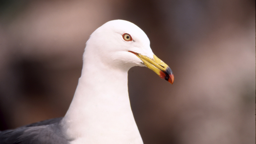    Konstantin Mikhailov/Russian Look/Globallookpress
