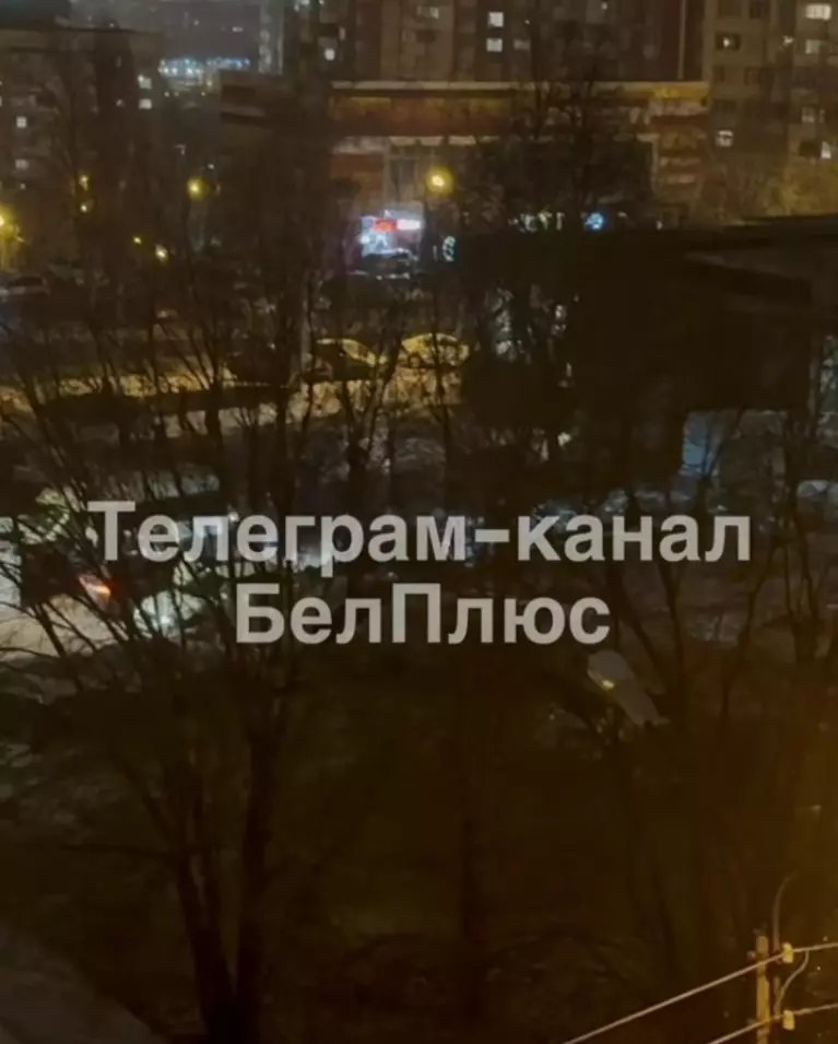 Кадр из видео с массовой дракой. За деревьями можно различить многочисленные силуэты людей. Фото: Telegram-канал «БелПлюс»