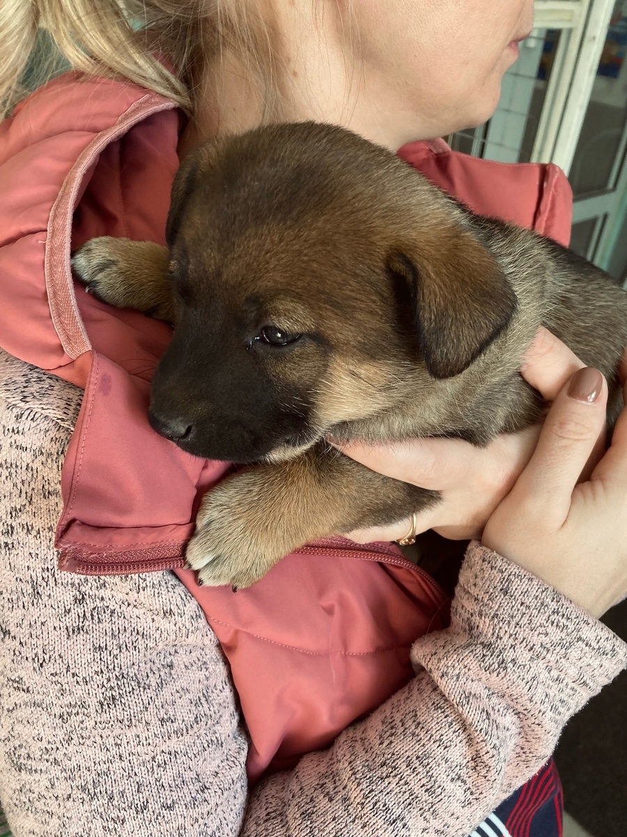 Маленькая Бонечка