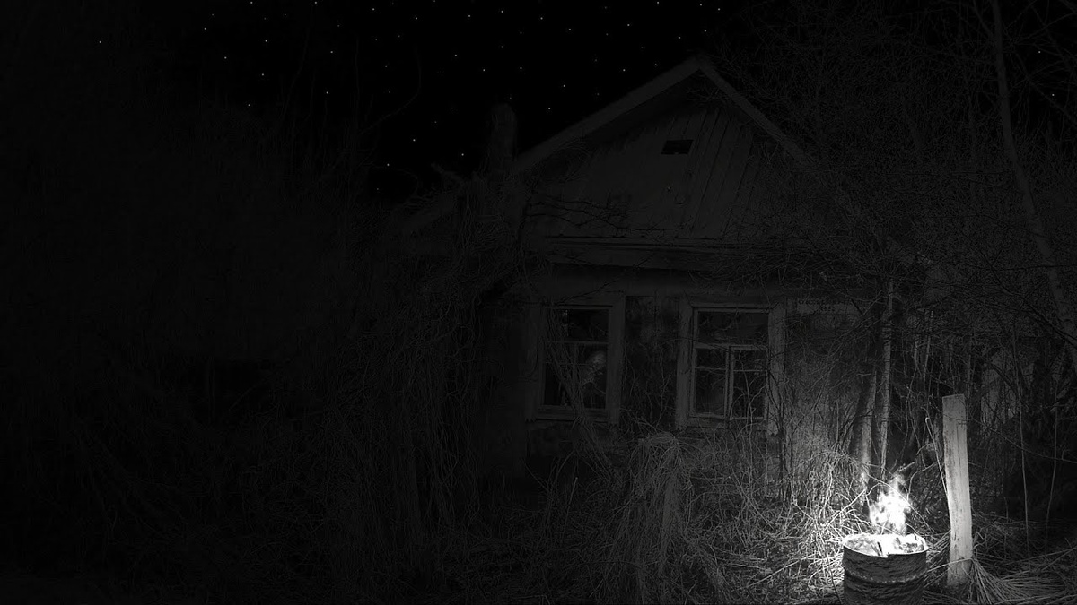 Фото из открытых источников Яндекс