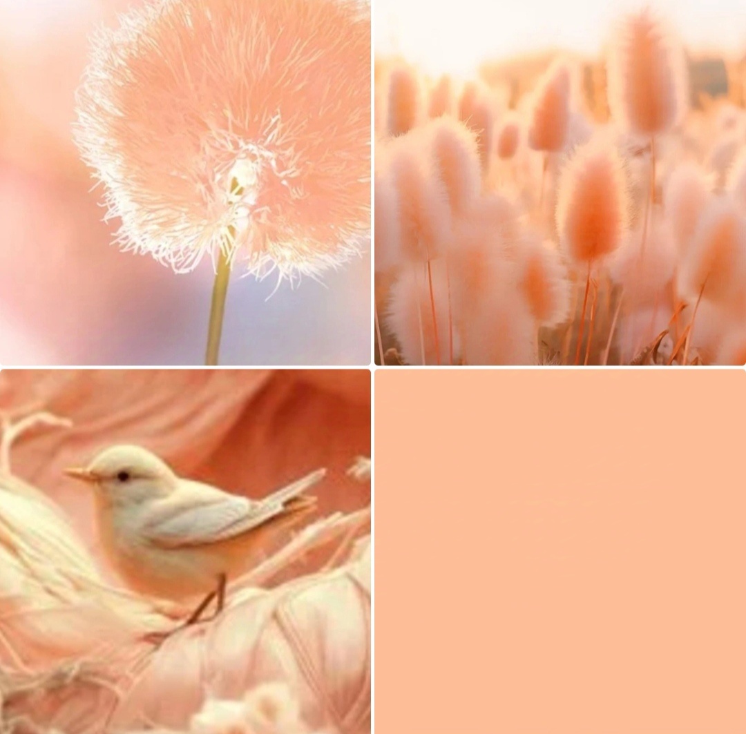 Милый цвет :) 