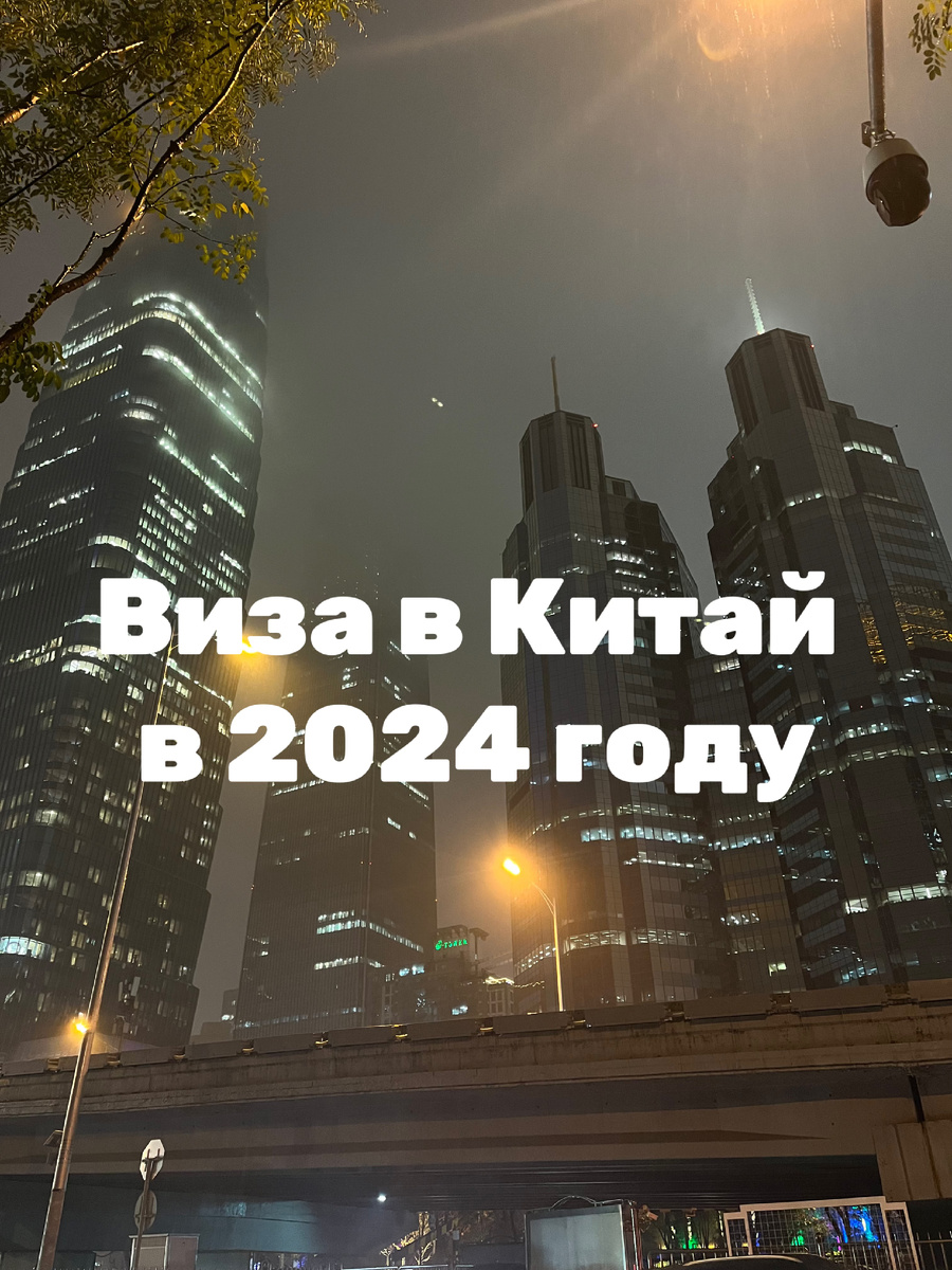 Фото сделано в Пекине в ноябре 2024 года