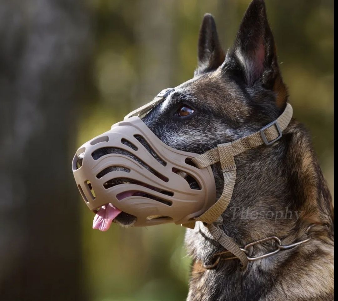 Обратите внимание на этот вид намордника (фото взято из открытых источников)