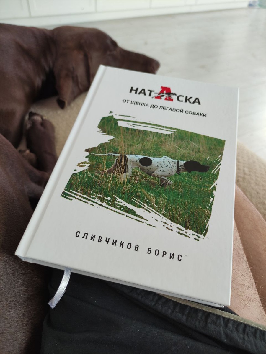 Приобрел книгу и решил написать отзыв