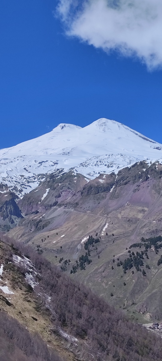 Эльбрус седовласый