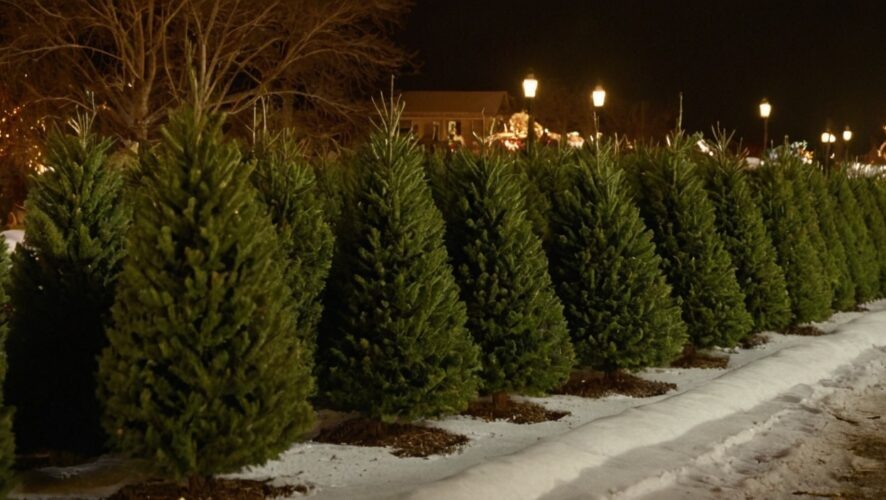    Фото: создано ИИ