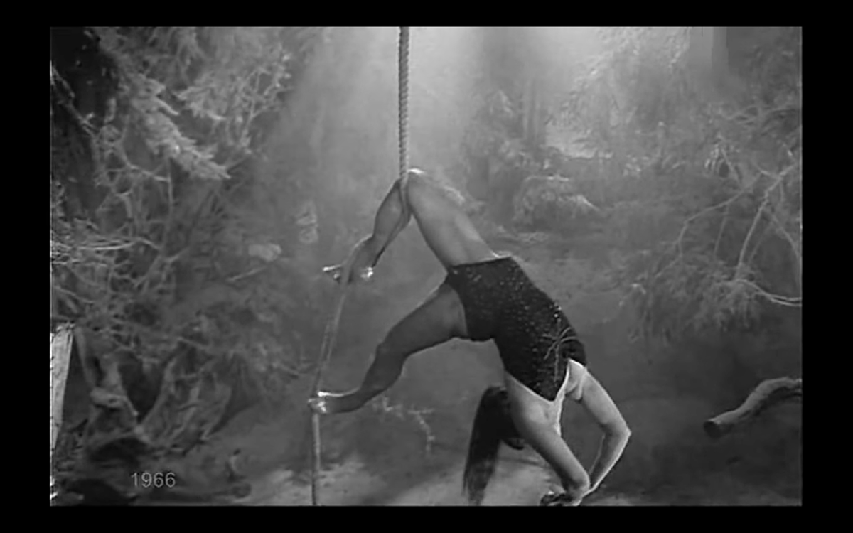 Сказки русского леса (1967, СССР)