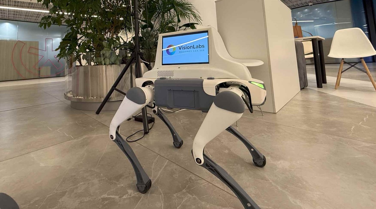 Робособака компании VisionLabs