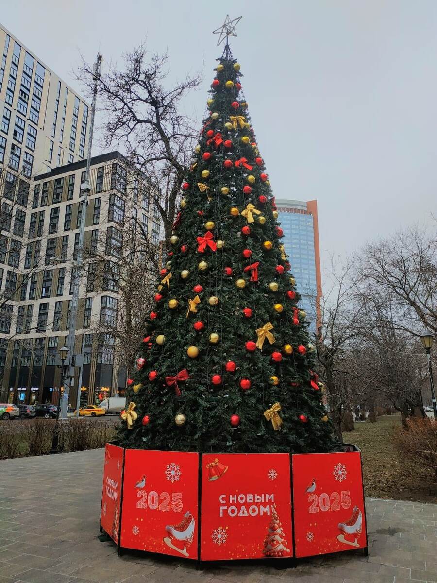 Ель в Москве
