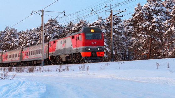    Вильфанд: за выходные снег покроет почти всю Россию, кроме Юга и Северного Кавказа Андрей Галкин