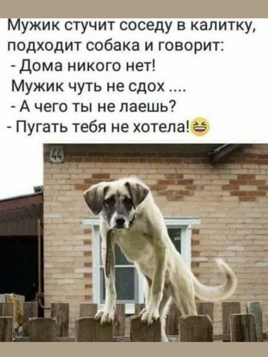 Приколы смешные