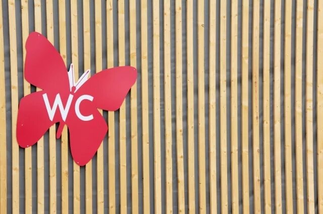    Какой цвет кала должен быть у здорового человека?