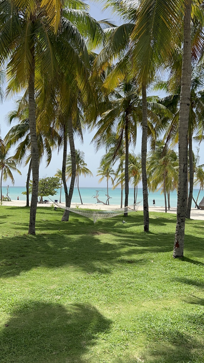 Пляжи Варадеро признаны одними из лучших пляжей мира по версии TripAdvisor Traveler's Choice Awards, но не у всех отелей курорта они удачные.