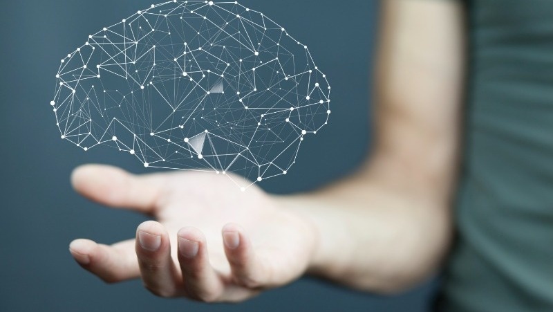 Фото: @tiko33 / freepik.com