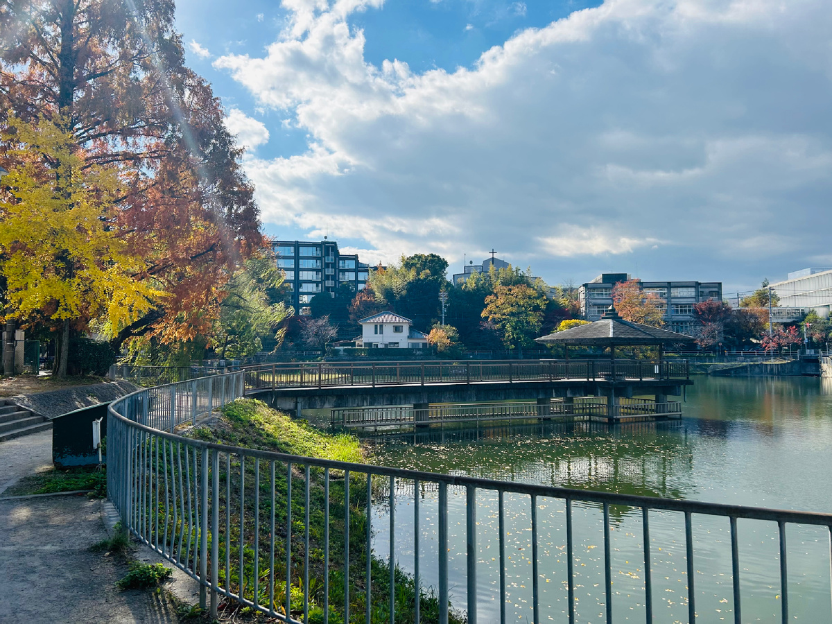 Моя декабрьская прогулка по Нагое.