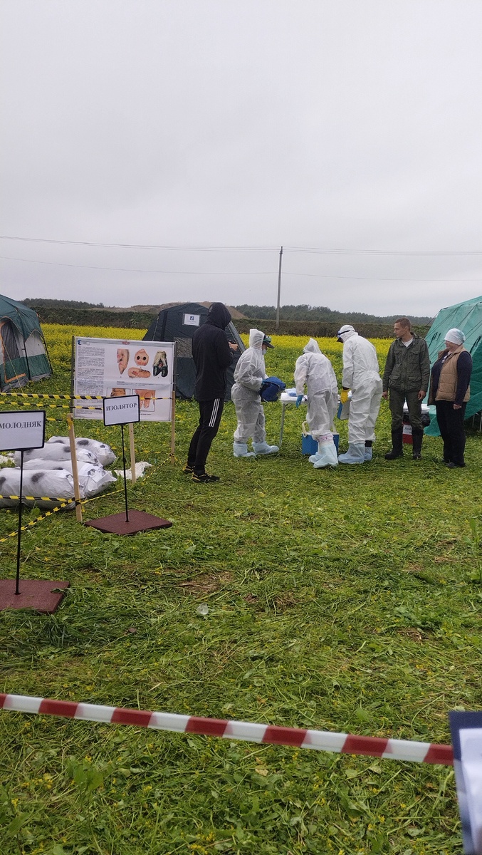 Вот одна из фотографий с учений по ящуру. Остальное в видеоформате, снимала, чтобы не забыть детали.