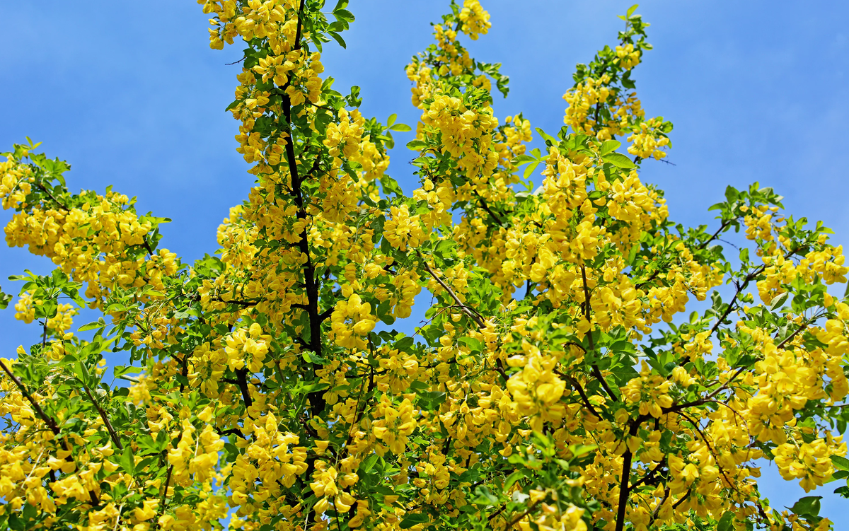 Источник фото: 1zoom.ru