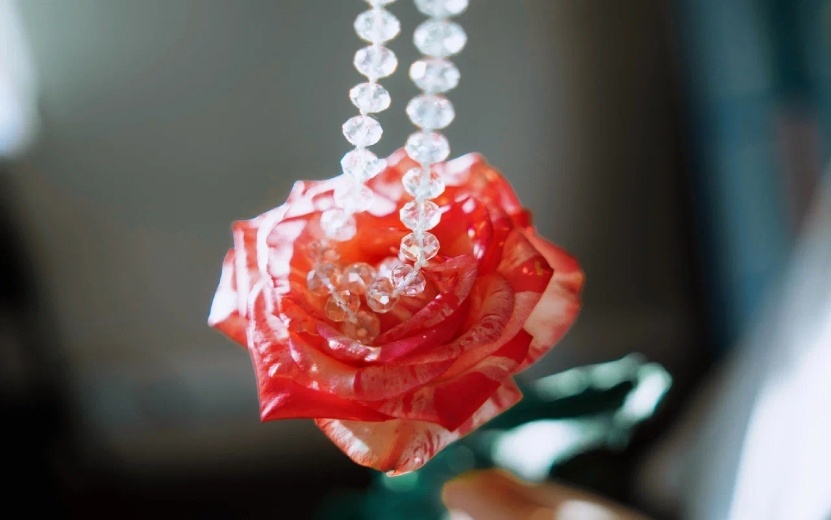    Гороскоп любви и отношений – какие чувства обещают звезды на неделе с 9 по 15 декабря 2024 года