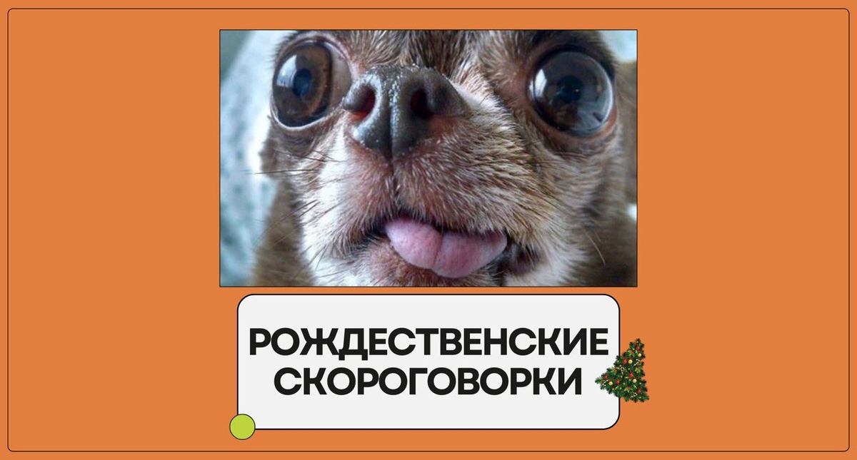 Изображение: Family English